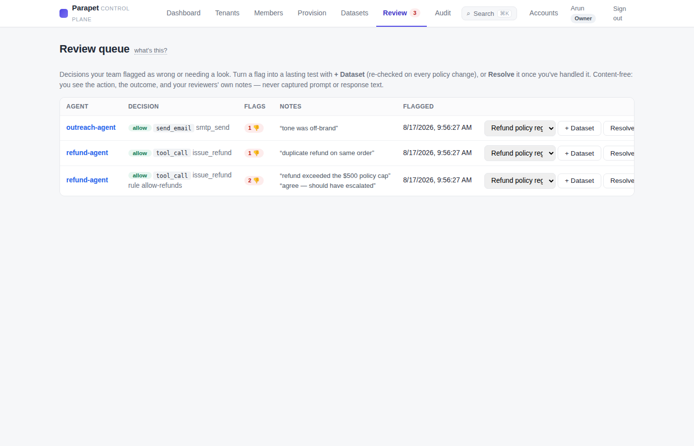 Review queue of flagged decisions